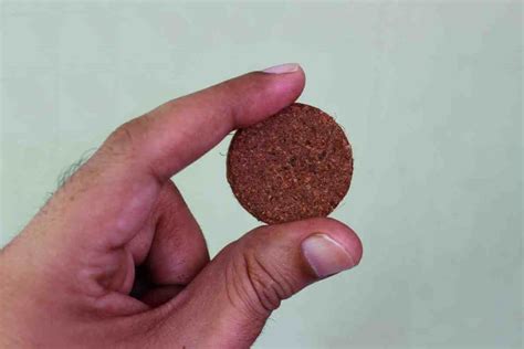 6 Coco Peat Disadvantages You Should Know About - Gardenia Organic
