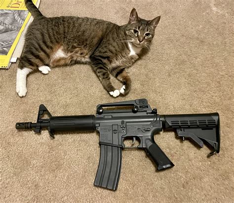 A pair of Kitty Kats : r/Firearms