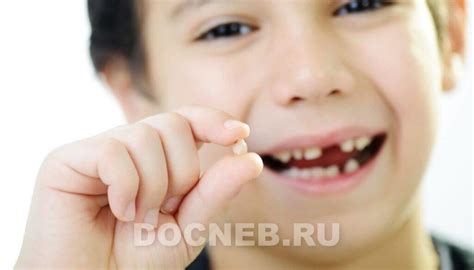 Куда девать выпавшие молочные зубы — Стоматология «Доктор НеболитЪ»