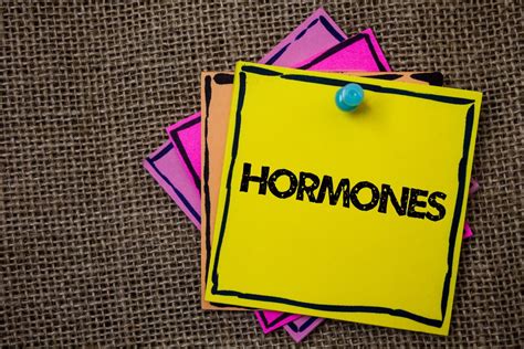 sex hormones  quick guide  weekend pages
