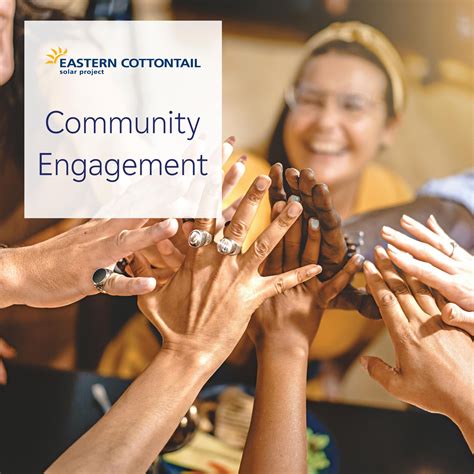 Eastern Cottontail Solar Project | Baltimore OH