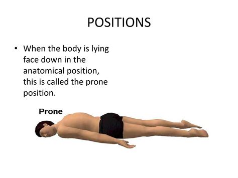 Anatomy terminologies | PPTX
