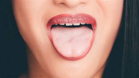 La cavità orale - come sono fatti labbra, bocca e denti - Cosmetimag