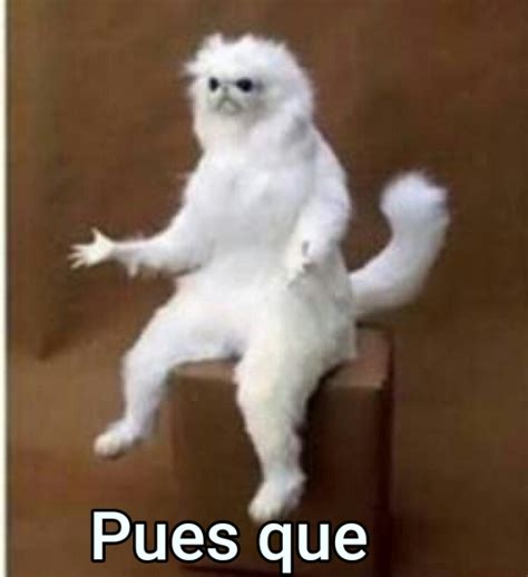 pues  generador memes
