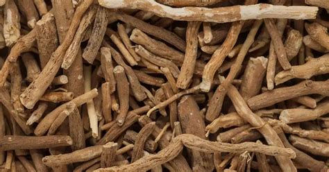 Ashwagandha for Hair Loss: Ancient Herb With Modern Benefits