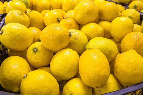 5 Important Facts About How to Harvest Lemons - Minneopa Orchards
