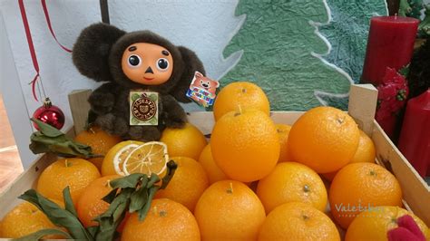 свечи своими руками.свечи-апельсины. | Food and drink, Fruit, Orange