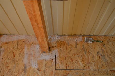 Laying Industrial Linoleum in the Interior of the House Stock Image ...