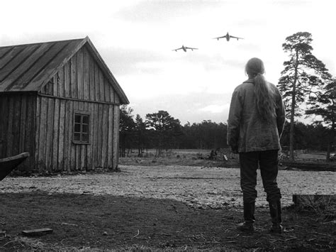 Shame (1968) | The Criterion Collection