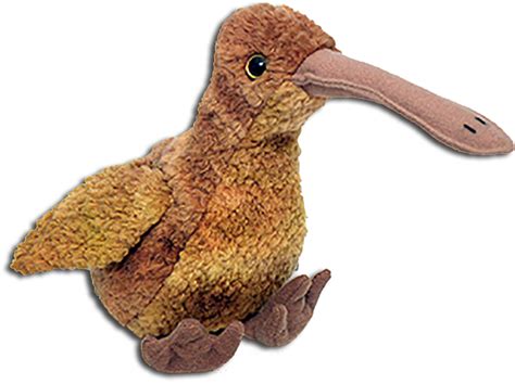 Kiwi Bird PNG Picture | PNG All