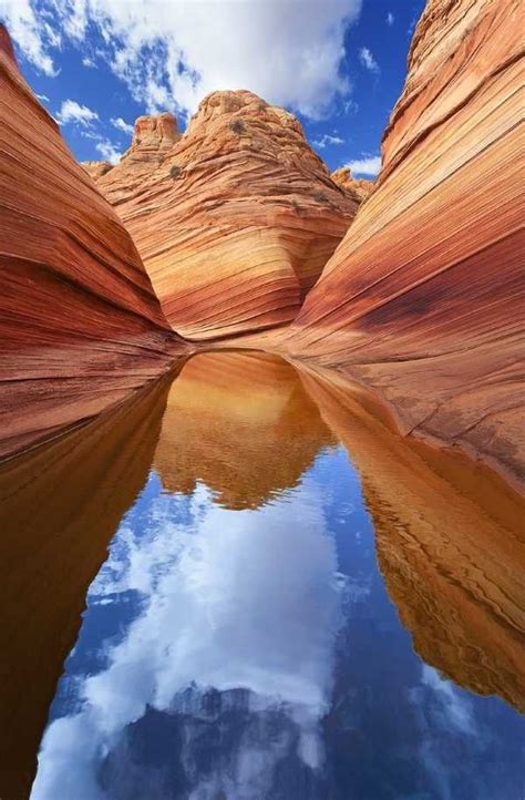 wave spectacular sandstone formation  coyote buttes arizona