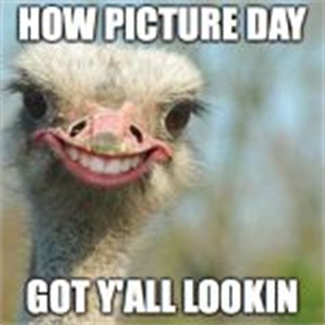 Funny Ostrich Meme Generator - Imgflip