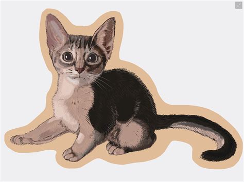 Котенок on Behance