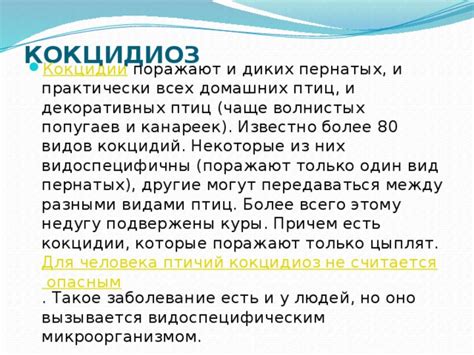 Паразиты пернатых