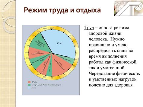 Здоровье человека как ценность и факторы его определяющие - презентация ...
