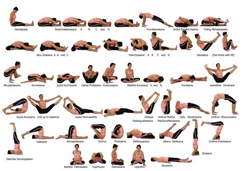 Yoga poses chart, Seated yoga poses, Ashtanga yoga poses