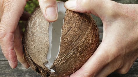 how to crack a coconut at home