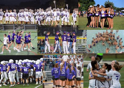 Recipe for success: ingredients of a strong sports team – The Purple Tide