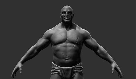 Matthew Davis - Project Titus: Mid Sized Male