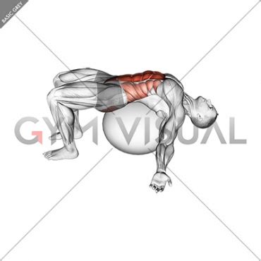 exercise ball  stretch