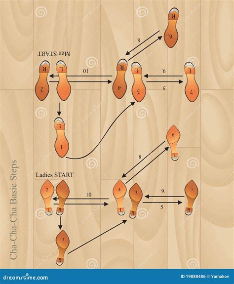 Cha-cha basic steps stock vector. Illustration of instructions - 19888486