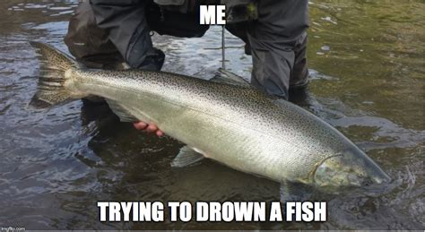 salmon Memes & GIFs - Imgflip