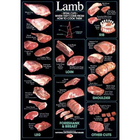 27inx40in Lamb Cuts Cuts Of Meat Chart Poster Giclee Print 27inx40in ...