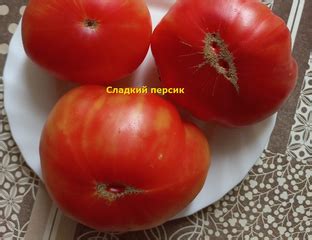 Томат Сладкий Персик (Sweet Peach, США) - Томатный мир