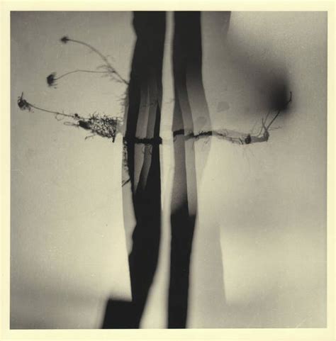 Jaroslav Rössler | World art, Art gallery, Beautiful photography