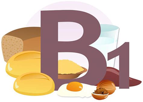 Витамин B1 (Тиамин) Описание и источники витамина B1 | Книга Здоровья