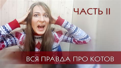Почему вам не нужен кот? Часть 2. Интересная история про Персика - YouTube