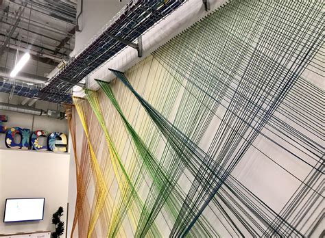 8789 best Cat 5 images on Pholder | Aww, Bicycling Circlejerk and Cats