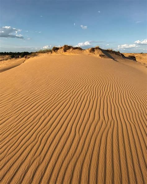 Олешківські піски, Херсонська область