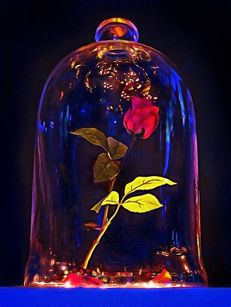 [100+] Beauty And The Beast Rose Wallpapers | Wallpapers.com