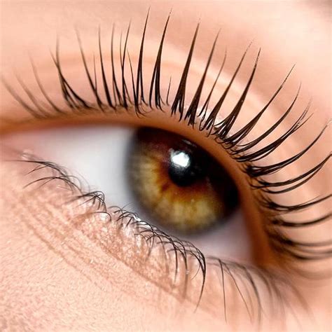Lash Lift Dubai | Professional Lash & Brow Services at ÉLAN Lounge