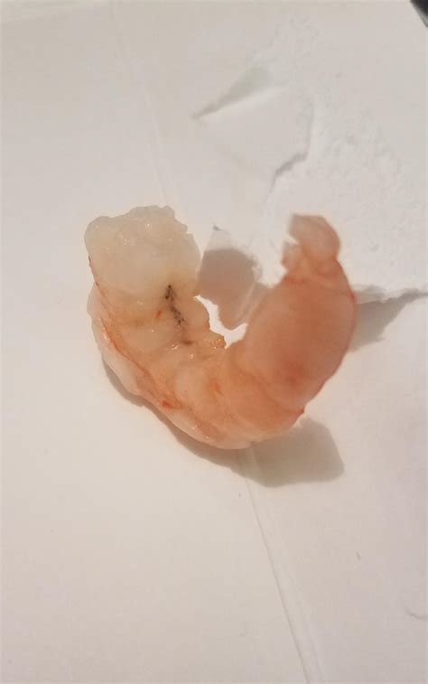 Shrimp Poop Tube at Trent Ragland blog