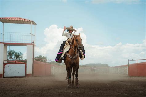 Reverse+Cowgirl+Gif Photos, Download The BEST Free Reverse+Cowgirl+Gif