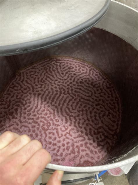 Interesting pattern of foam on top of one of our saignee tanks. Never