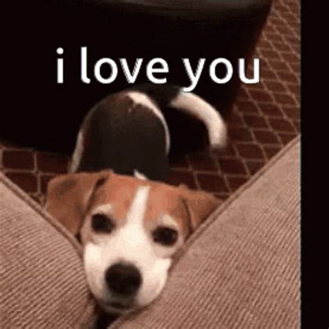 Love You GIFs | Tenor