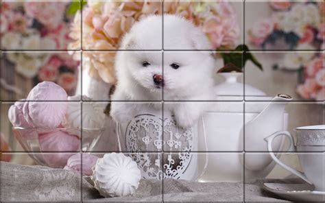 Tile Puzzle Pomeranian Dogs – Tamcoapps
