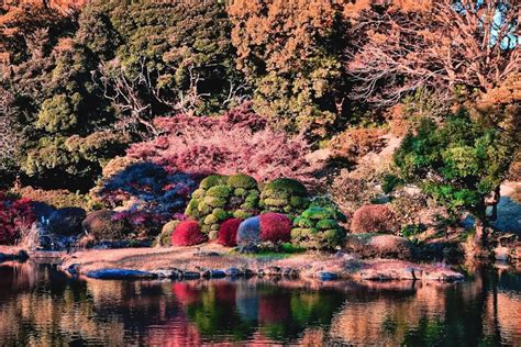 15 Dreamy Botanical Gardens In Japan You Should Visit