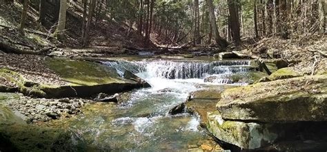 Finding the Waterfalls of the Middle Allegheny - Pittsburgh Quarterly