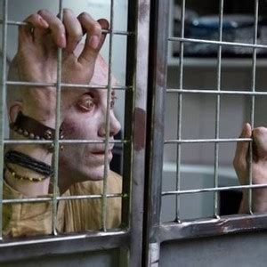 Stephen Merchant - Rotten Tomatoes