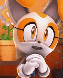 Cream The Rabbit Sonic X GIF - Cream The Rabbit Sonic X Throw ...