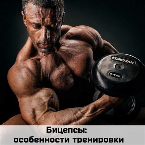 Бицепсы: особенности тренировки