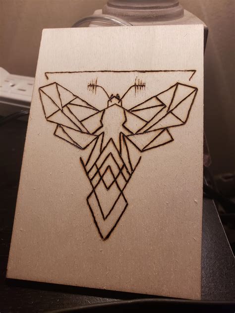 Geometric Moth Drawing
