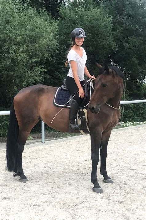Equitation in balance - Kateřina Toušková - O mně