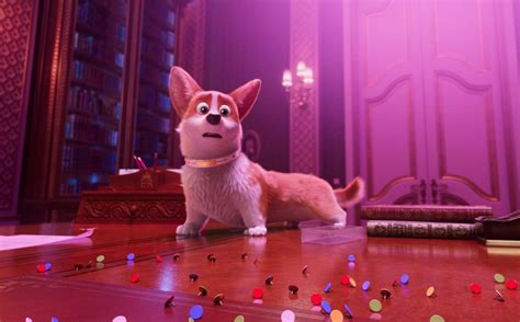 Мультфільм Королівський коргі 2019 дивитися онлайн українською в HD якості