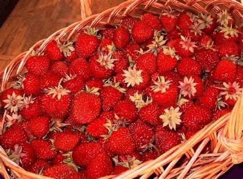 Клубничка | Пикабу