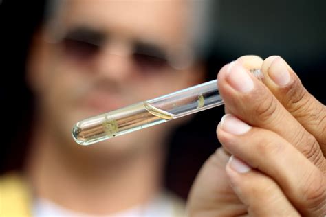 Entenda quais são os sorotipos da dengue e por que o tipo 3 é o mais